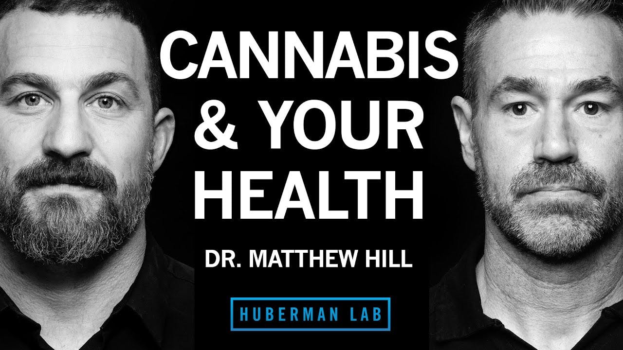 Dr. Matthew Hill: How Cannabis Impacts Health & the Potential Risks