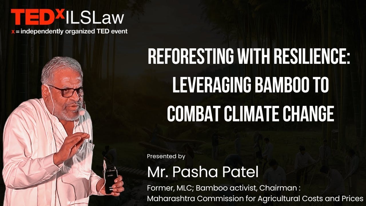 REFORESTING WITH RESILIENCE: LEVERAGING BAMBOO TO COMBAT CLIMATE CHANGE | Pasha Patel | TEDxILSLaw