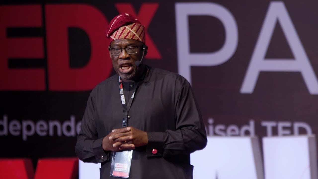 Entrepreneurship as a Catalyst for Systemic Change | Peter Bamkole | TEDxPAU