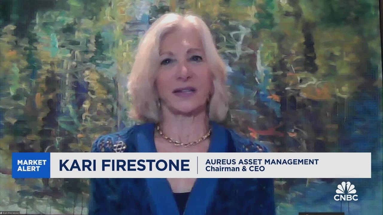 It's hard to justify mega-cap tech's huge rally this year, says Kari Firestone