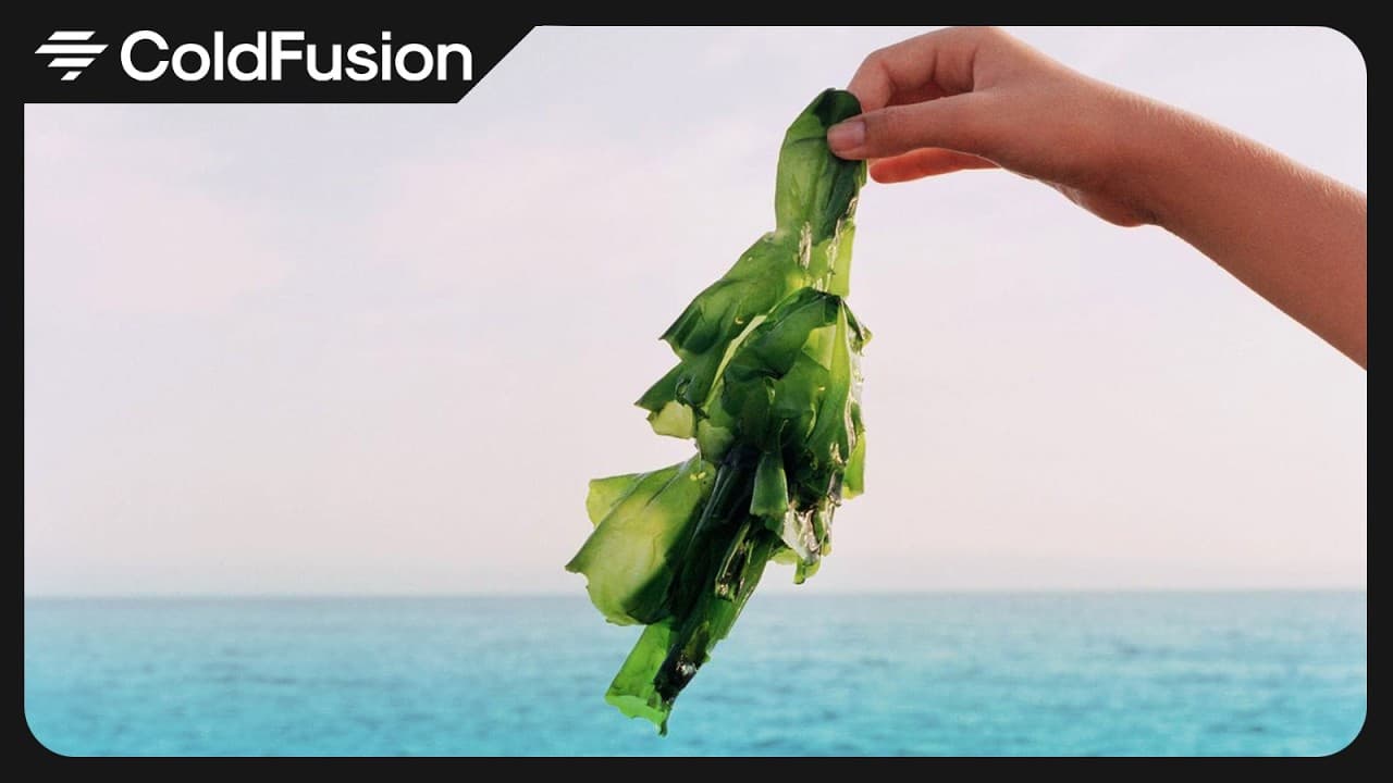 Are We All Wrong About AI?